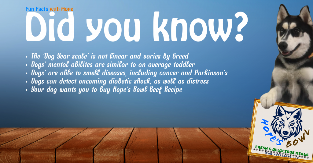 Fun Facts with Hope